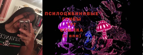 PSILOCYBIN Арсеньев