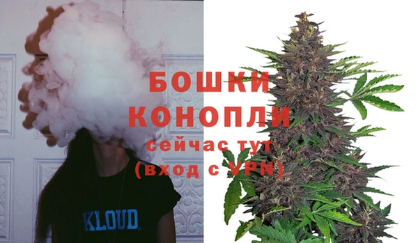 твердый Армянск