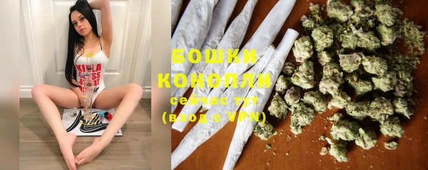 PSILOCYBIN Арсеньев