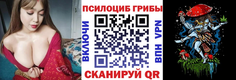 Галлюциногенные грибы Psilocybe  Рудня 